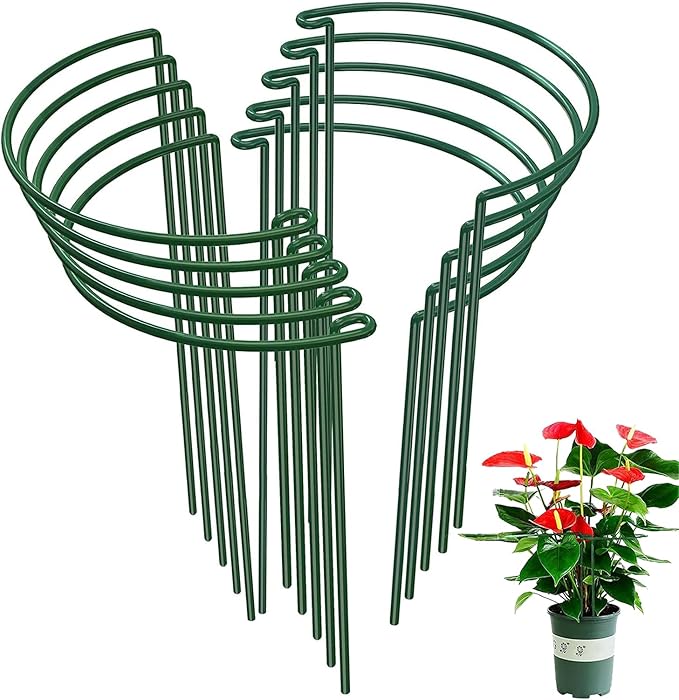 10-Pack Half Round Snake Plant Support Stakes, Plant Support Ring by WooWellGoGoGoProducts