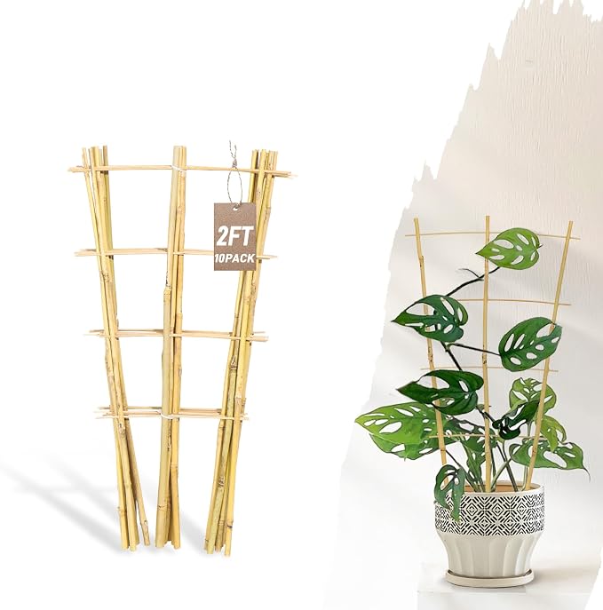 Avalution 10 Pack Bamboo Trellis by Avalution