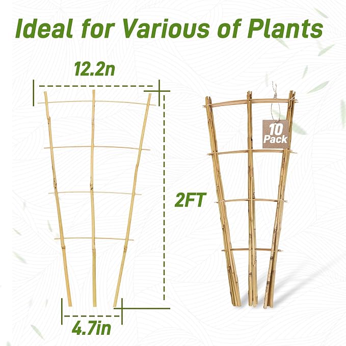 Avalution 10 Pack Bamboo Trellis - Image 6