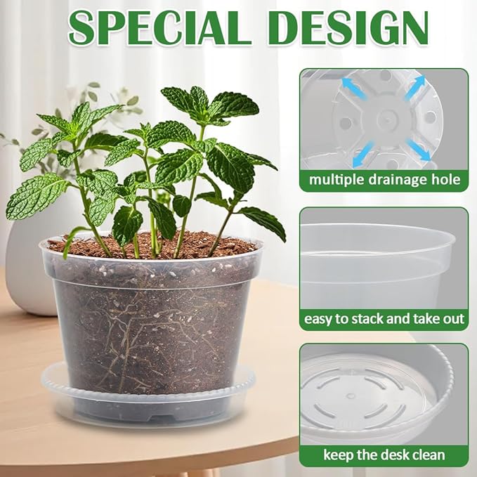 12 Pack 7 Inch Clear Nursery Pots - Image 3