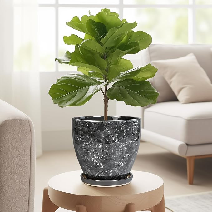 6.3 Inch Plant Pot - Image 5