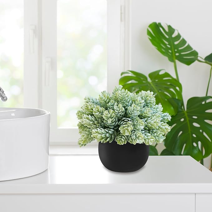 Winlyn Set of 3 Artificial Succulent Plants in Black Concrete Pots Faux Aloe - Image 8