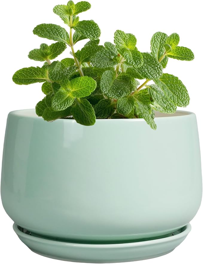 G EPGardening Ceramic Plants Pots by GEPGardening
