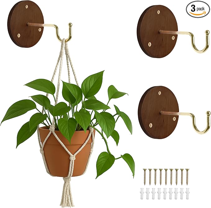 Ilyapa 3 Pack Metal Wall Plant Hangers by Ilyapa