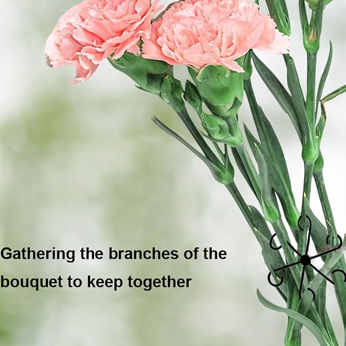4Pcs Plastic Plant Climbers Stem Holders, 2 Sizes Reusable Flower Plant Stakes - Image 5