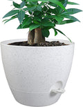 12 inch Large Self Watering Pots, Plastic Planters by UOUZ