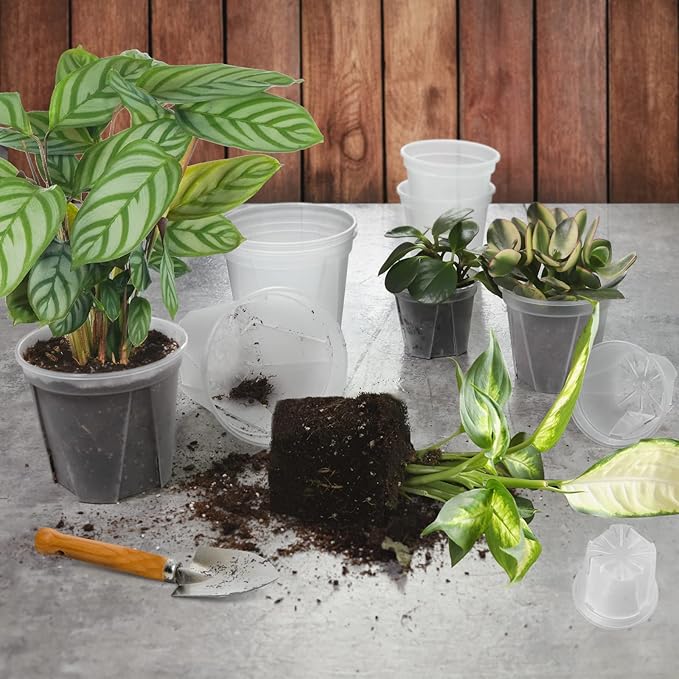 GREENPARA Transparent Plastic Planter 4/5 /6 inch Plant Nursery Pots - Image 7
