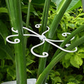 5PCS Monstera Plant Support Hook by Yohsnor