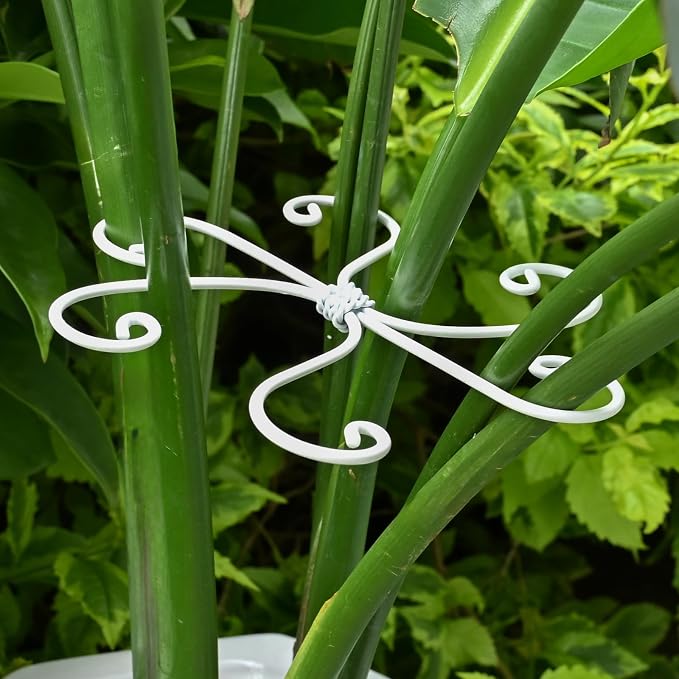 5PCS Monstera Plant Support Hook by Yohsnor