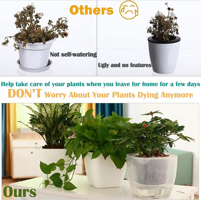 12-Pack Clear Self Watering Planters - Image 5