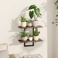 Bamworld Wall Planters for Indoor Plants Window Plant Shelves Vertical Plant by Bamworld