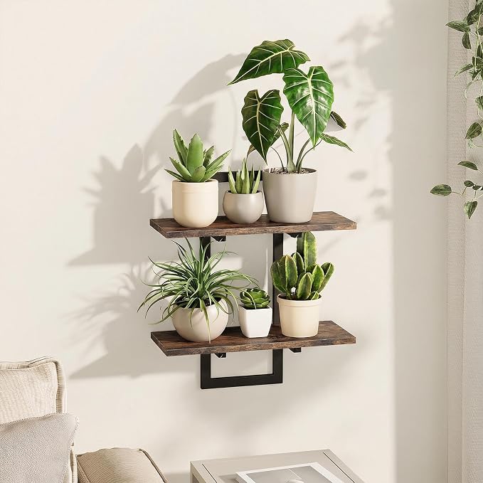 Bamworld Wall Planters for Indoor Plants Window Plant Shelves Vertical Plant by Bamworld