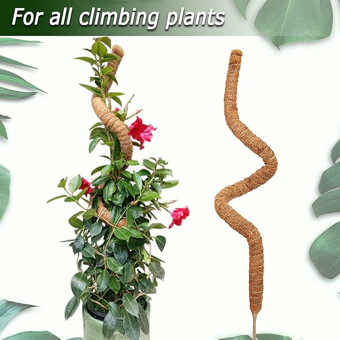 60 Inch Moss Pole for Plants Monstera, Tall Bendable Moss Poles for Climbing - Image 4