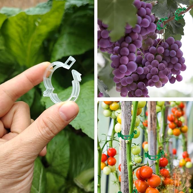 Plant Support Clips, Plastic Trellis Clips, Grape Vine Tomato Vine Vegetables - Image 3