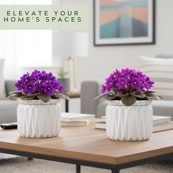 6 Inch African Violet Pots Self Watering, Ceramic Planter - Image 6