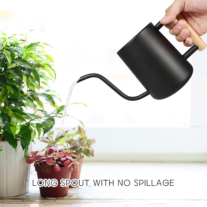 Watering Can for Indoor Plants, 35 oz/1000 ml Metal Stainless Steel Pot - Image 3