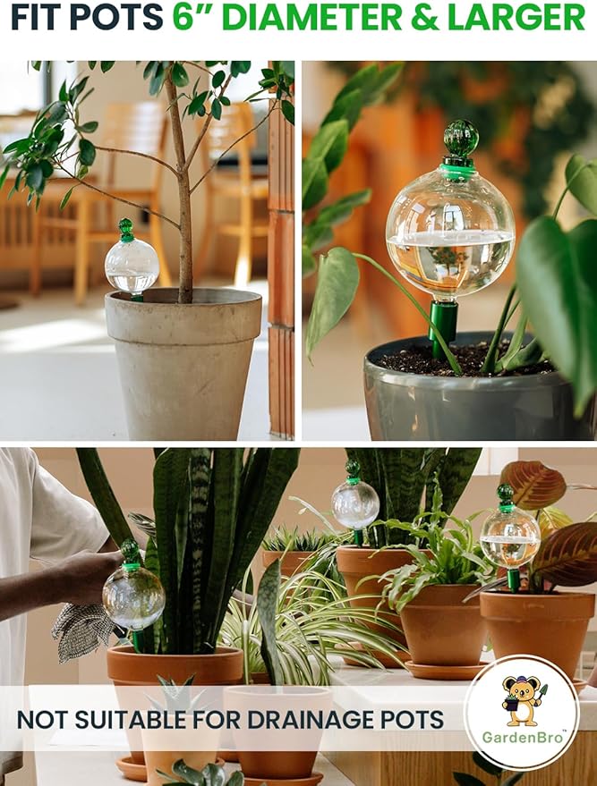 16 Oz Plant Watering Globes for Indoor Plants - Image 5