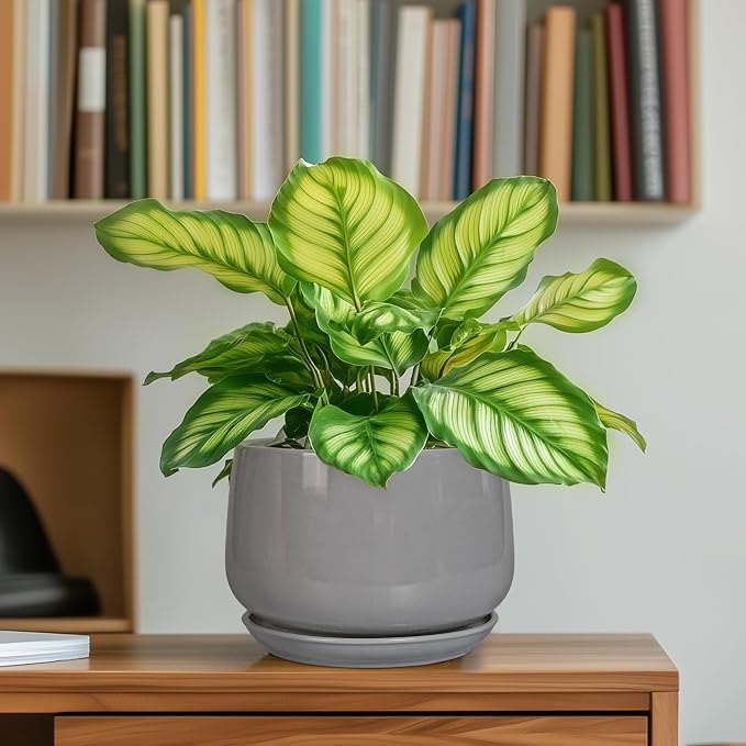 G EPGardening Ceramic Pot for Plants - Image 6
