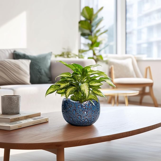 6 Inch Plant Pot - Image 6