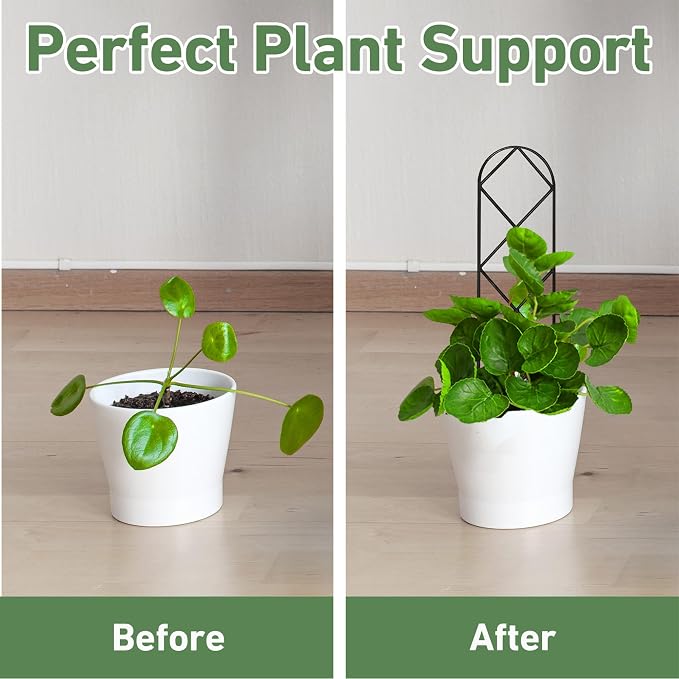 Coomin Small Plant Trellis for Potted Plants, 15in Plant Trellis Indoor - Image 2