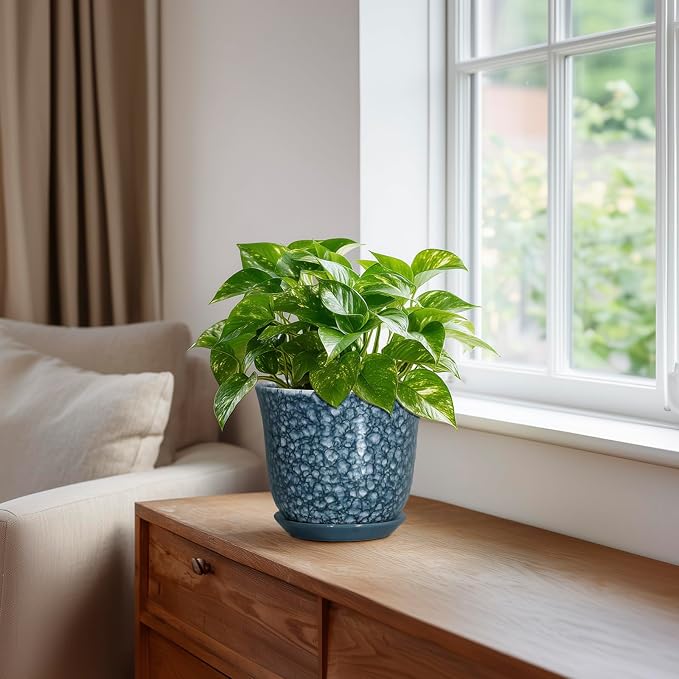 Ceramic Pots for Plants - Image 5