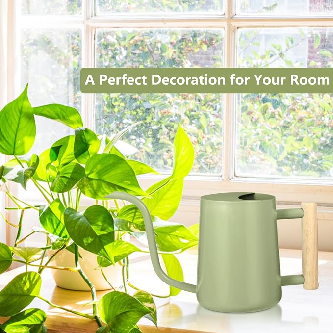 Watering Can Indoor Plants, 35oz Small Indoor Stainless Steel Metal Watering - Image 3