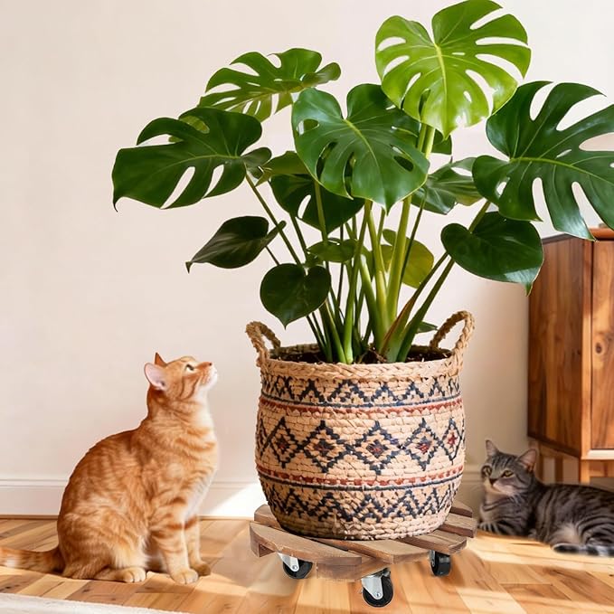 2 Pack Plant Stand with Wheels, Plant Caddies with 360° Lockable Smooth Sliding - Image 6