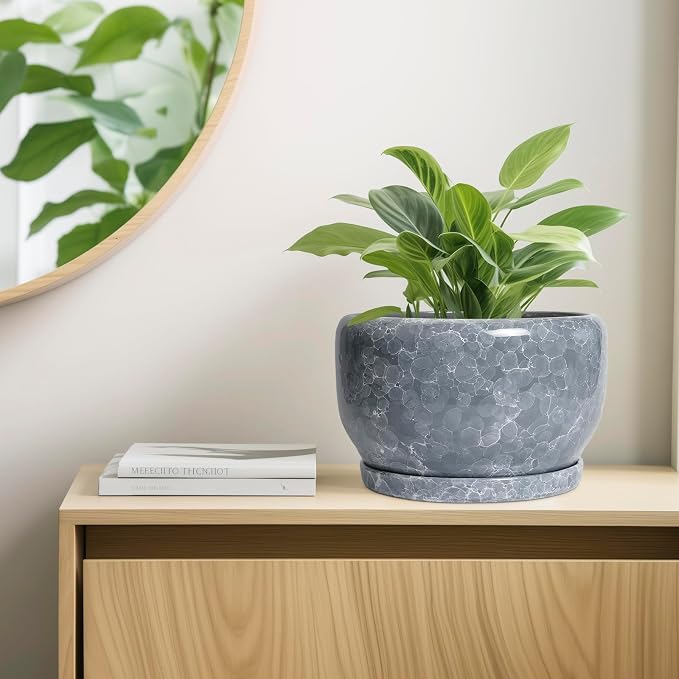 SQOWL Ceramic Pot for Plants - Image 7