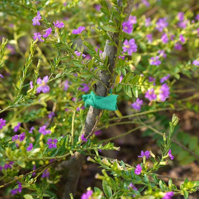 Decoroca Degradable Soft Green Garden Twine - 98FT Environmentally Smart Plant - Image 6