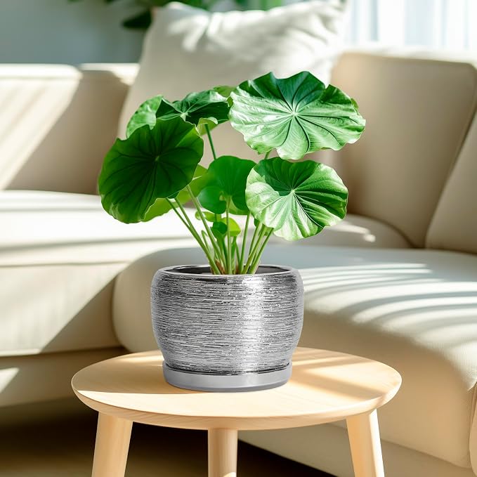 SQOWL Ceramic Pot for Plants - Image 2