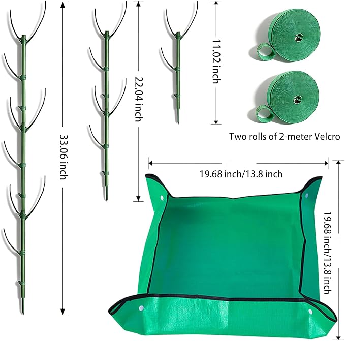 Monstera Plant Support Stakes Indoor - Image 3