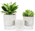 Self Watering Pots for Indoor Plants, 6 & 5 & 4 Inch Stylish Flower Pots by Etvski