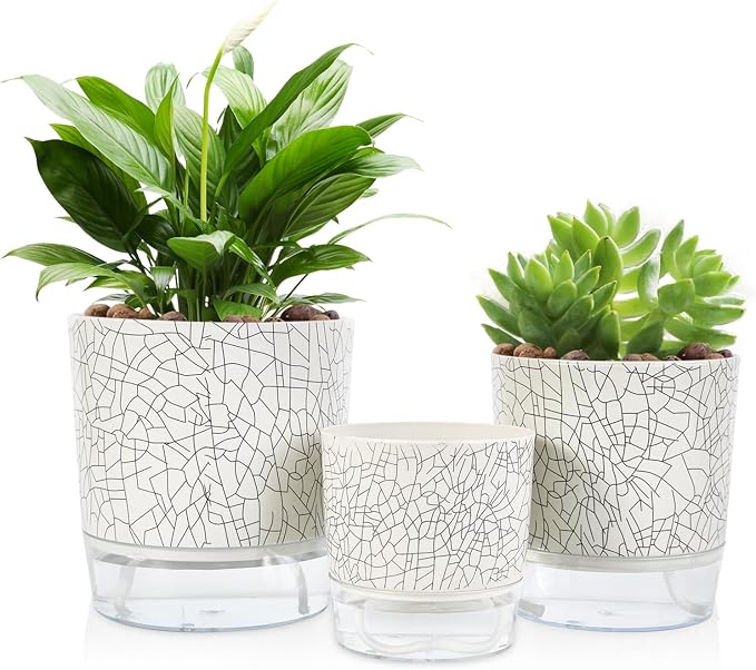 Self Watering Pots for Indoor Plants, 6 & 5 & 4 Inch Stylish Flower Pots by Etvski