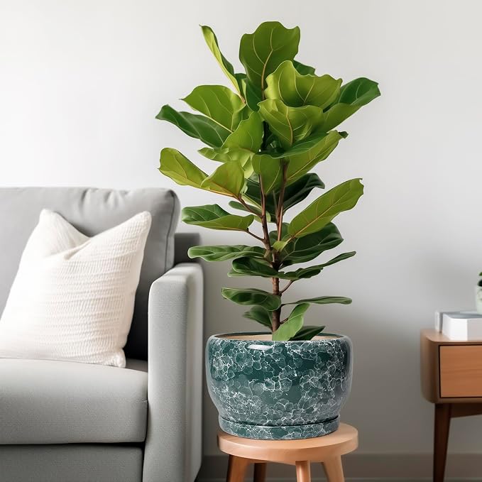 SQOWL 10 Inch Plant Pot - Image 2