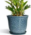 10 Inch Plant Pot by SUNPOTFOR