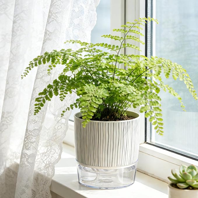 Self Watering Pots for Indoor Plants, 4 and 5.3 Inch - Image 7
