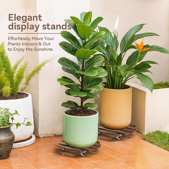 2 Pack Plant Stand Indoor and Outdoor, 12IN Premium Wooden Plant Caddy - Image 6