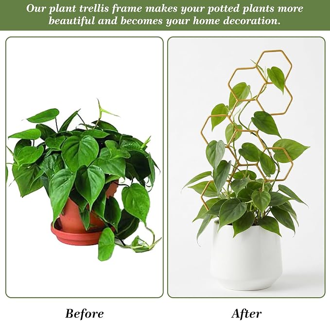 Small Trellis for Potted Plants, 14 Inch Indoor Trellis for Climbing Plants - Image 7