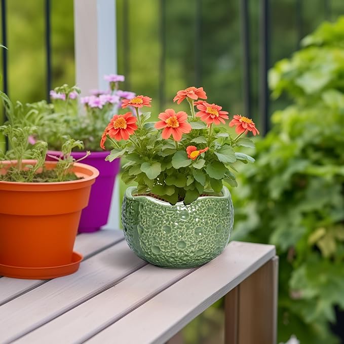 6 Inch Plant Pot - Image 4