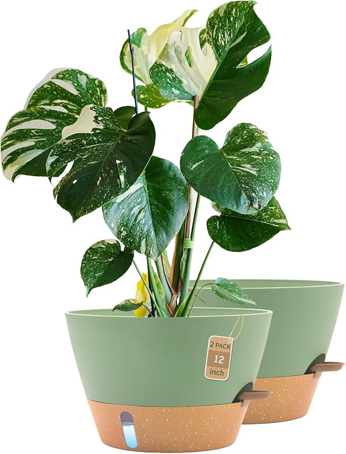 12-Inch Self Watering Planters by FIASON