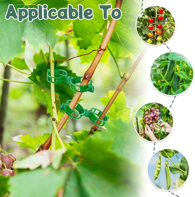OJYUDD 200 Pcs Plant Support Clips, Plastic Plant Clips - Image 5