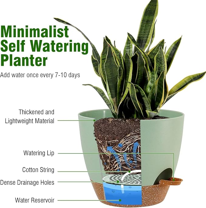10/9/8 inch Self Watering Pots - Image 4