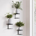 Metal Wall Planters Mid Century Modern Floating Shelves by HomecourtyardsInterio