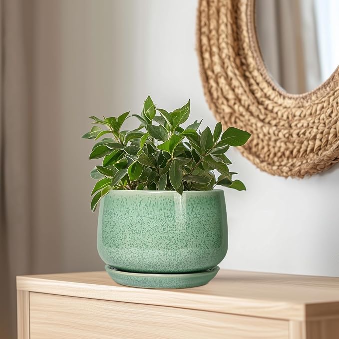 G EPGardening Ceramic Planter - Image 5
