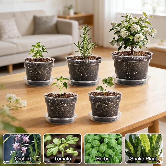 15 Pack 8/7/6 Inch Clear Nursery Pots - Image 7