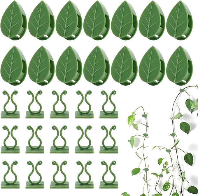 100 Pcs Plant Climbing Wall Fixture Clips Self-Adhesive Hook Vines Traction by LUCKJUJU