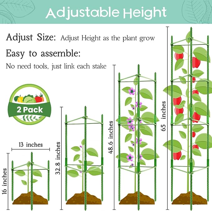 Legigo 2-Pack Tomato Cage for Garden Plant Support- Up to 63inch Garden Stakes - Image 2