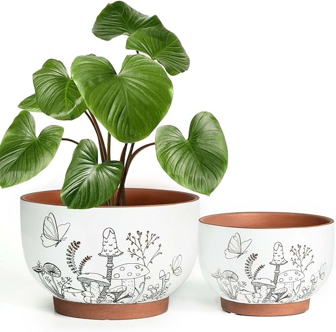 YBX 8 Inch & 6 Inch Terracotta Pots, Plant Pots, Flower Pots by YBXYIBOXUAN