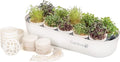 GARDYN Complete Microgreens Growing Kit by Gardyn
