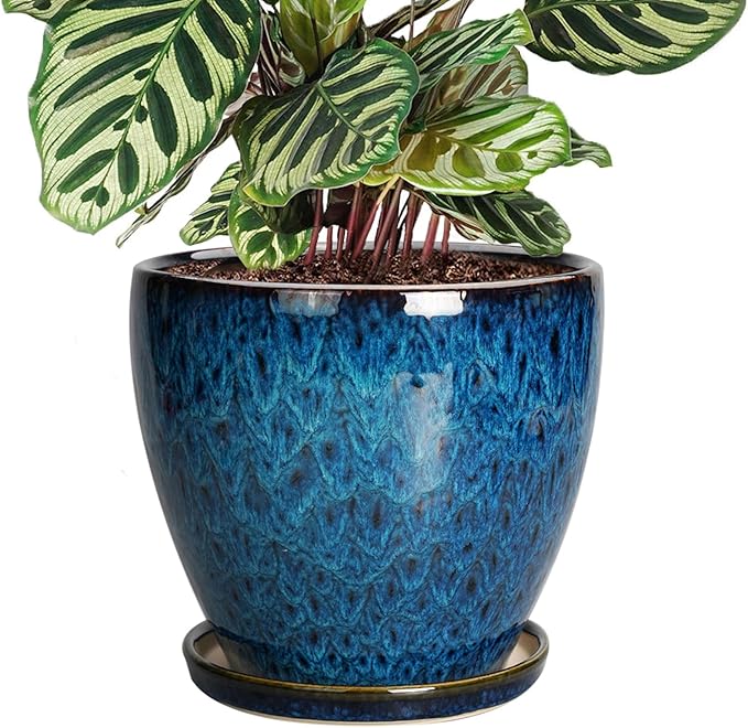 8 Inch Ceramic Planter Pot by EPFamily